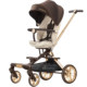 High view two-way stroller with reclining stroller