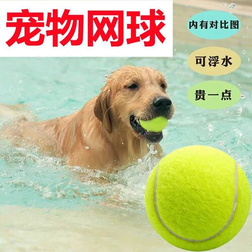 狗狗玩具球自嗨解闷神器宠物边牧金毛柯基耐咬球训练磨牙网球橡胶 - 图0