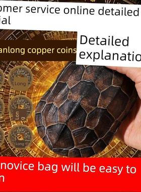 卦卜铜钱龟壳天然把件文玩工具摆件算挂手玩随身真乌龟壳摇卦干隆