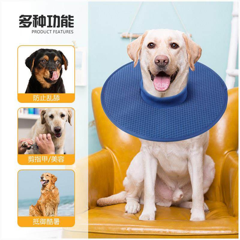 狗伊丽莎白圈轻软加长宠物防舔脖套夏季透气柴犬柯基狗防咬头套,淘宝优惠券,粉丝福利购,淘宝优惠卷