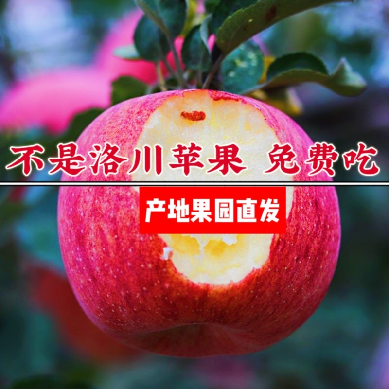 正宗陕西洛川苹果水果红富士新鲜当季脆甜整箱10斤官方旗舰店包邮