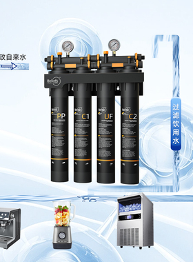 碧莱斯商用净水器大流量双出水直饮自来水超滤过滤器奶茶店滤水器