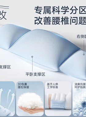 德国进口侧卧护腰枕释压护脊透气