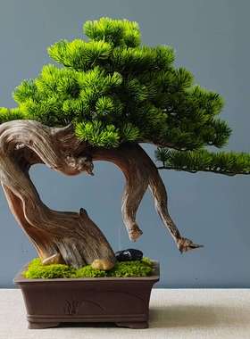 兰雅LTJ20-1居仿真居迎客松盆景家玄关客厅电视柜庭装饰摆件