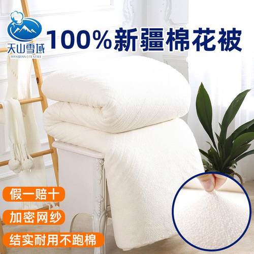 棉花被棉絮天山雪域有网被新疆棉被芯长绒棉花被夏被棉胎垫被褥子 - 图2