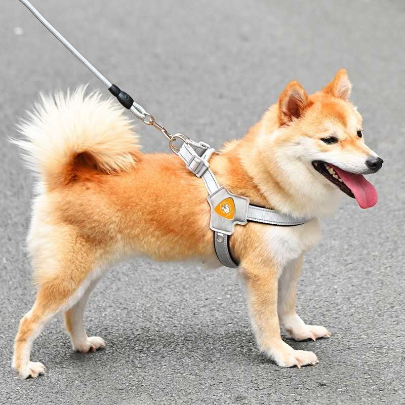 新款直销狗狗牵引绳背心式宠物胸背带遛狗绳中小型柴犬柯基比熊泰 - 图1