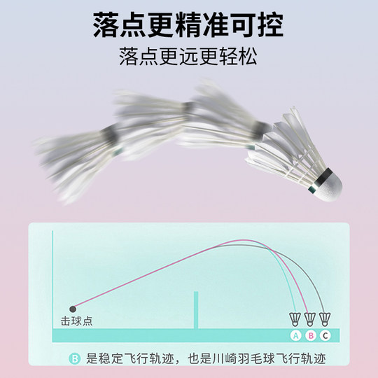 Bingo nº 10 bádminton