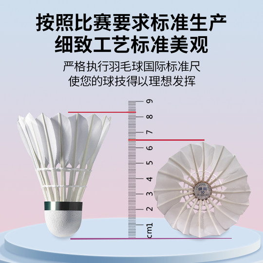 Bingo nº 10 bádminton