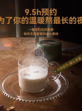 德国进口多功能养生壶恒温电炖杯