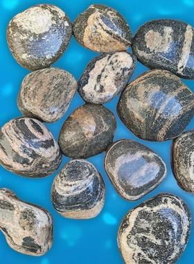 泰山原石天然家用鱼缸靠山石摆件家居补角青石石敢当玄关补角阳石