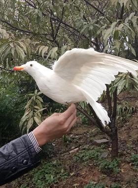 仿真展翅海鸥 婚纱摄影 办公室商场装饰家庭摆件影视场景道具模型