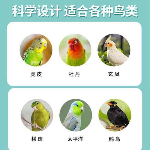 鹦鹉用品 304不锈钢中大型鹦鹉玩具啃咬磨牙开发益智鸟笼展示站架 - 图2