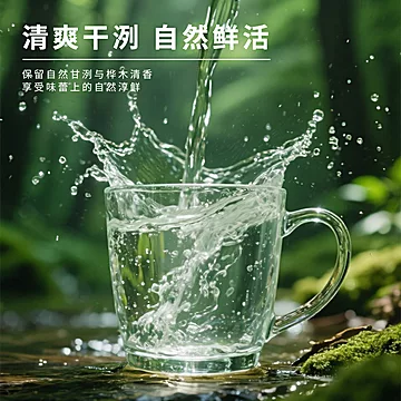 【6瓶】几米森林大兴安岭天然白桦树汁[40元优惠券]-寻折猪