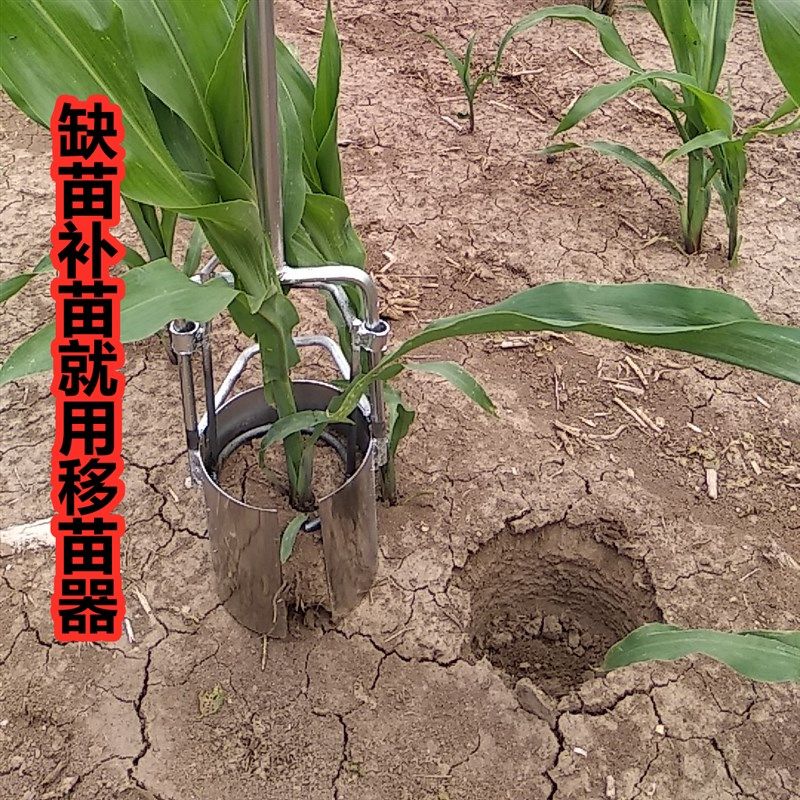 移苗栽苗补玉米苗神器不绣钢圆筒挖苗打洞起苗秒栽耕种机械,淘宝优惠券,粉丝福利购,淘宝优惠卷