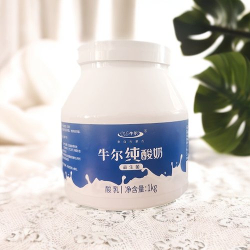 内蒙古牛尔无蔗糖原味益生菌纯酸奶1000克健身代餐低温 - 图3