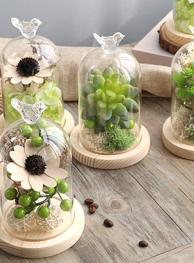 速发永生花干日年璃罩工艺品创意家居客厅装饰品摆设新玻生花结婚