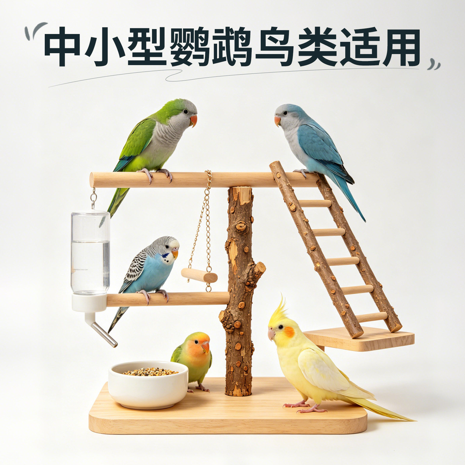 图5
