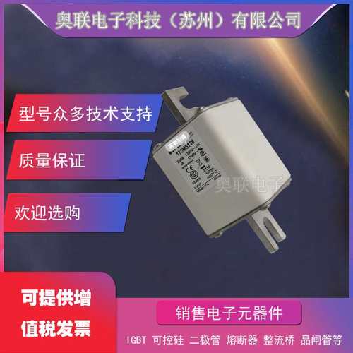 170M5008 170M5009 170M5010 170M5011 170M5012 170M5013熔断器 - 图0