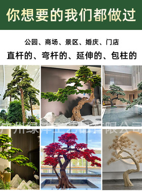 仿真迎客松人造木雕松树造景新中式假树装饰玄关景观摆件仿真松树