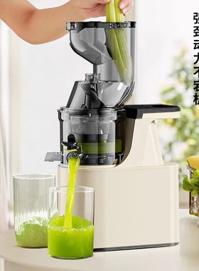 跨境榨汁机汁渣分离家用水果蔬菜商用大型口径免切过滤慢速原汁机