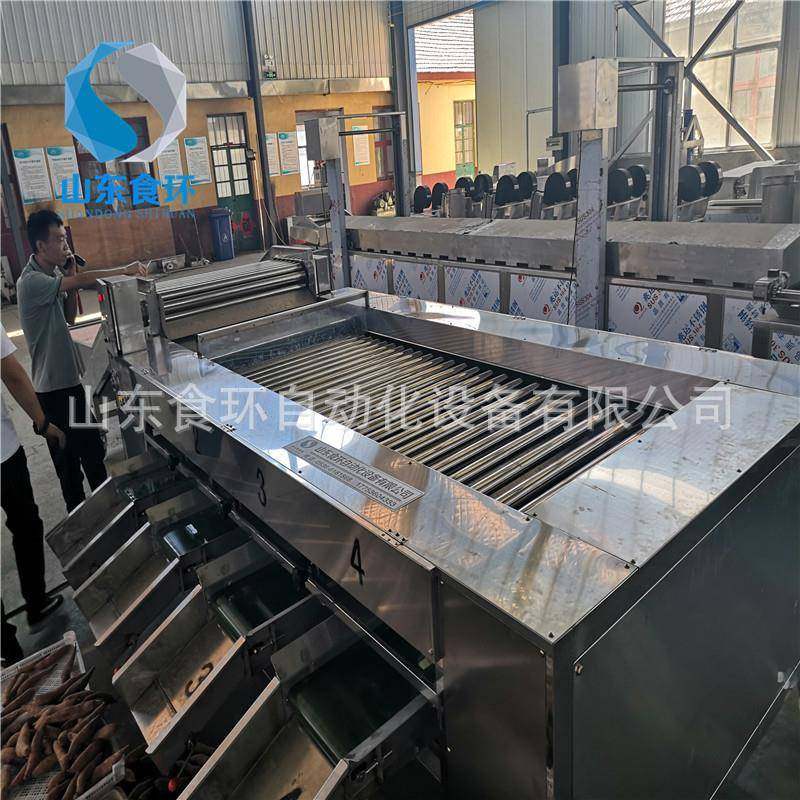 滚杠式分级机 红枣分选设备 甜橙桔子清洗风干打蜡分拣设备,淘宝优惠券,粉丝福利购,淘宝优惠卷