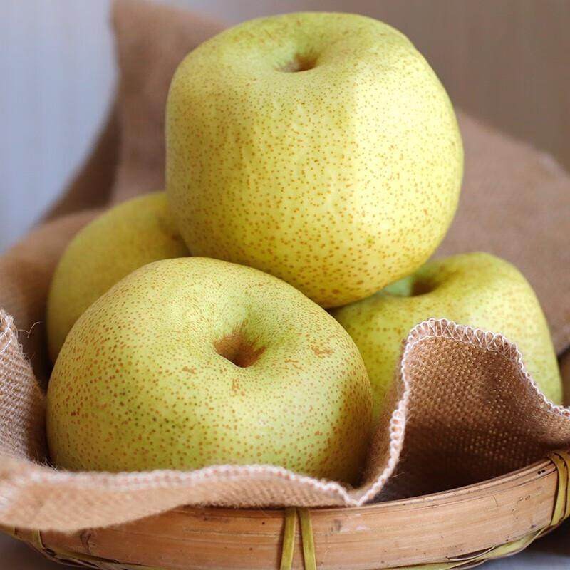 正宗安徽砀山酥梨新鲜水果现摘原产地发货应季特产烤梨整箱包邮10,淘宝优惠券,粉丝福利购,淘宝优惠卷