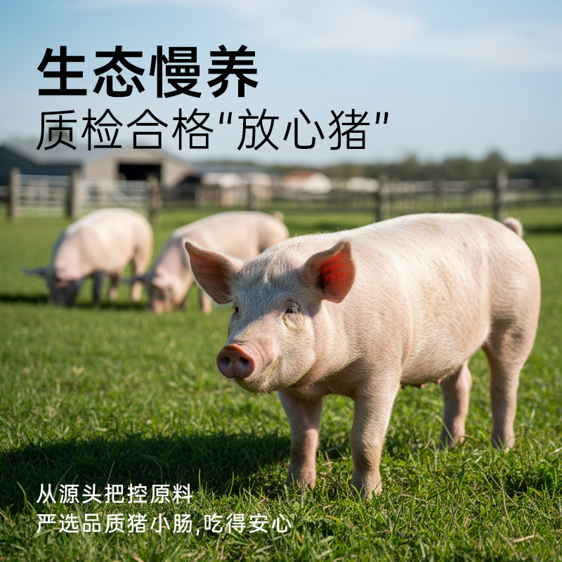 展艺猪肠衣套装盐渍猪肠衣含香肠灌肠器家用天然无添加自制腊肠,淘宝优惠券,粉丝福利购,淘宝优惠卷