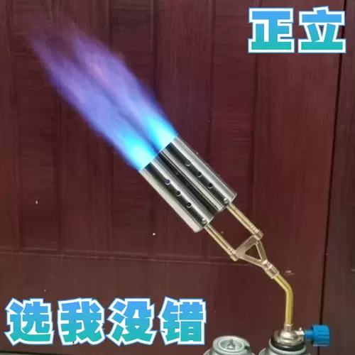 Два -типичный опрыскивающий огнестрельное огнестрельное огнестрельное огнестрельное огнестрельное оружие из свиного распылитель