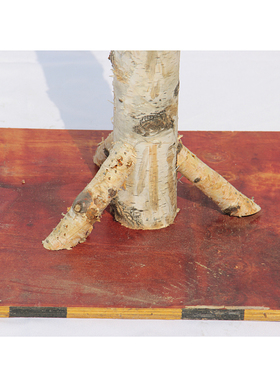 定做包装无盖木盒花盆树