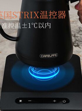 CafeLffe聚咖咖啡手冲壶家用不锈钢电热水壶泡茶细口长嘴控温壶