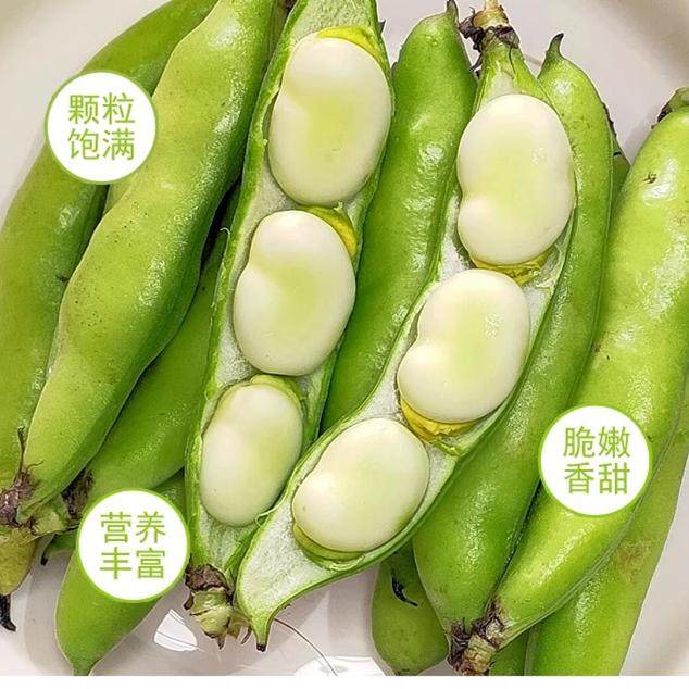 顺丰可选 云南高山现摘蚕豆老品种新鲜带壳蔬菜胡兰花青豆9斤包邮,淘宝优惠券,粉丝福利购,淘宝优惠卷