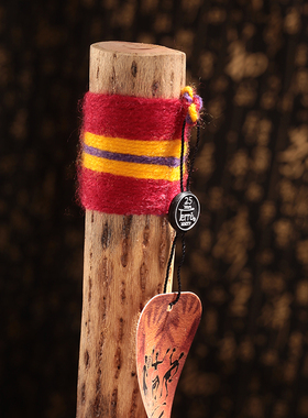 德瑞terre雨棍南美智利仙人掌