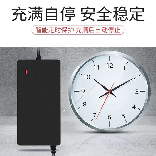 锂电池电动车充电器48V36V60V24V2A72V电车锂离子哈雷平衡车通用 - 图2