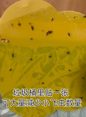 垃圾桶飞虫贴双面胶超黏小飞虫灭杀神器防卫生间去室内灭虫神器