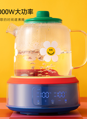 Glasslock盖朗&WiggleWiggle联名养生壶多功能全玻璃花茶壶煮茶器