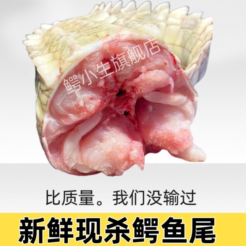 新鲜鳄鱼肉鲜尾巴肉2-10斤整根现杀尾巴肉 整条鳄鱼尾巴肉