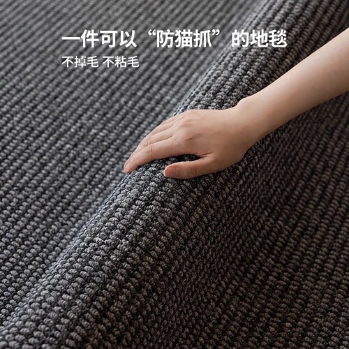 客厅地毯2025新款卧室床边毯免打理极简风黑色轻奢高级剑麻纹地垫 - 图0