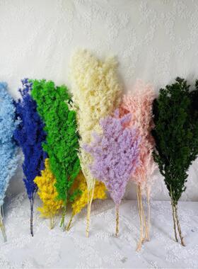 永生花蓬莱松手工DIY制作花材 婚庆节庆用品场景布置花材云南基地
