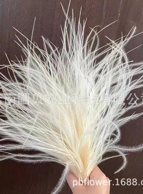 花者ins 风办公装饰浪漫家居装饰干花羽毛草永生花材料