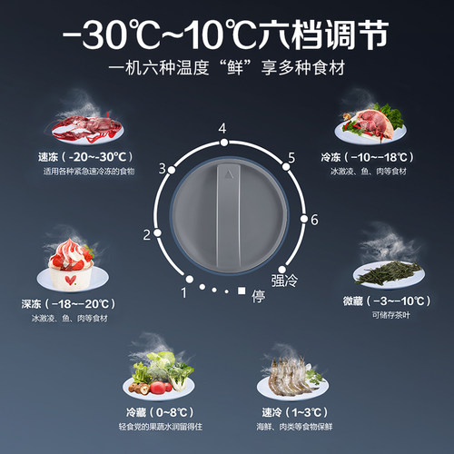 【内漏保10年】星星冰柜铜管制冷205/305升L小型冷藏冷冻家用冷柜 - 图2