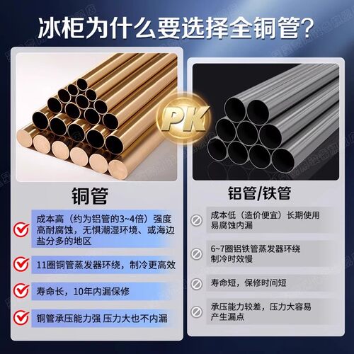 【内漏保10年】星星冰柜铜管制冷205/305升L小型冷藏冷冻家用冷柜 - 图1