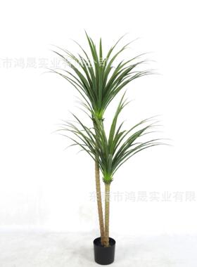 仿真龙血树 巴西铁绿植龙须树塑料植物剑麻大号落地摆件酒店装饰