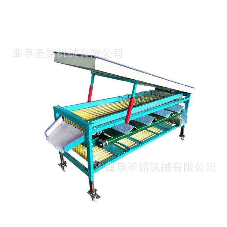 商用椰枣分选机 阳荷姜三月李选果机 可调节分选尺寸的分级机,淘宝优惠券,粉丝福利购,淘宝优惠卷