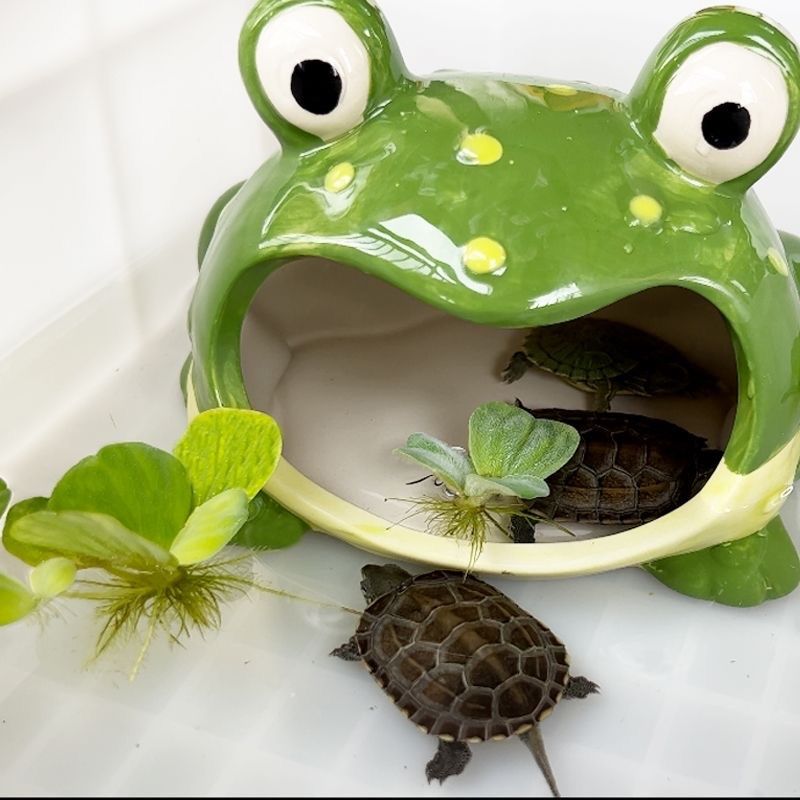 大嘴蛙洞穴乌龟躲避屋青蛙窝角蛙宠物仓鼠寄居蟹蜘蛛爬虫爬宠造景,淘宝优惠券,粉丝福利购,淘宝优惠卷