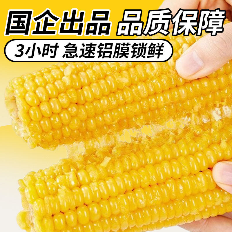 农投正宗东北甜玉米新鲜黄糯玉米香甜粘糯玉米10棒早餐铝箔真空装