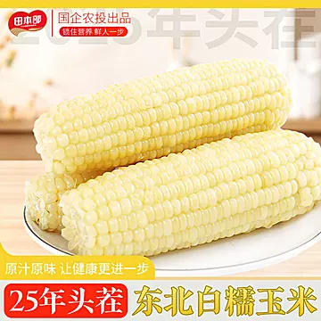 【本部】大棒黑糯玉米280-320g*8棒[3元优惠券]-寻折猪