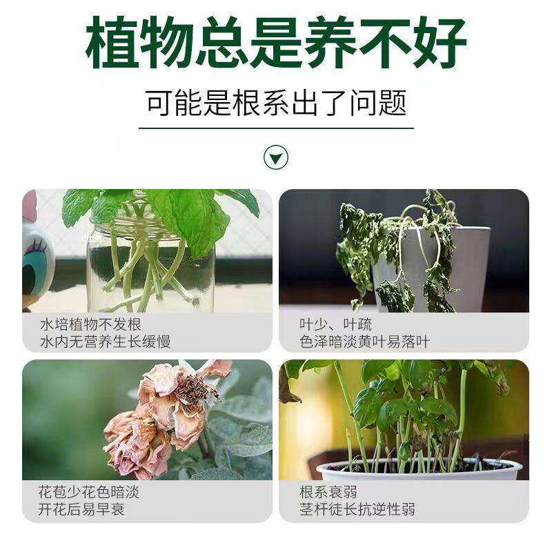 快速生根粉水溶快速生根壮根植物果树移栽成活率高生根粉袋装包邮,淘宝优惠券,粉丝福利购,淘宝优惠卷