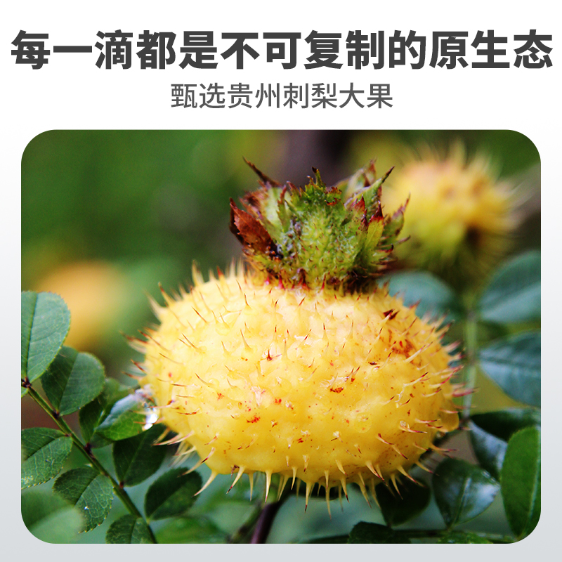 【固元红】NFC刺梨原浆鲜榨刺梨汁贵州VC果汁饮料原液官方旗舰店 - 图2