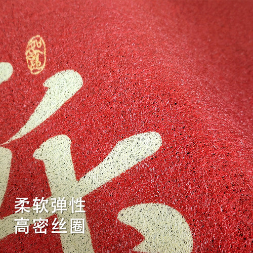 卡通马年红色入户门地垫新款喜庆防滑除尘耐磨脚垫进门大门口地毯 - 图2