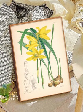博物馆挂画 绿色植物类合集装饰画 新中式南洋风民宿文艺小清新画